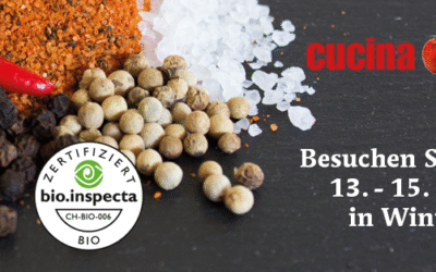 Rückblick und Ausblick